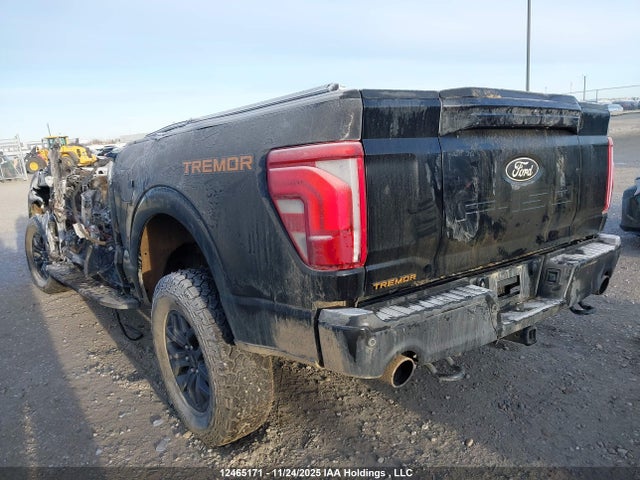 12465171 :رقم المزاد ، 1FTFW4L87RFC16052 vin ، 2024 Ford F150 مزاد بيع