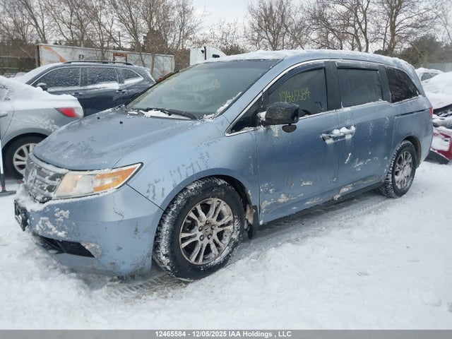 Продаж на аукціоні авто 2011 Honda Odyssey, vin: 5FNRL5H44BB510553, номер лоту: 12465584