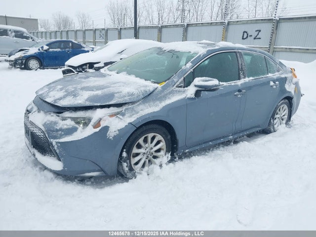 2020 Toyota Corolla Xle მანქანა იყიდება აუქციონზე, vin: 5YFBPRBE4LP008193, აუქციონის ნომერი: 12465678