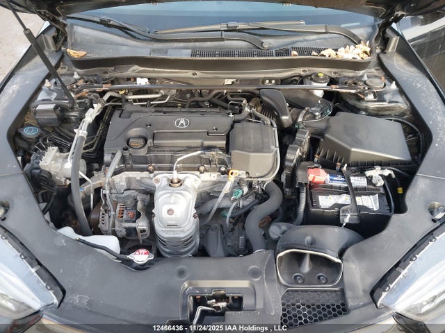 19UUB1F66KA800216 Acura k24w7