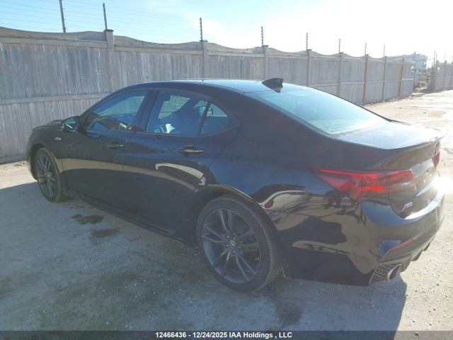 19UUB1F66KA800216 Acura k24w7