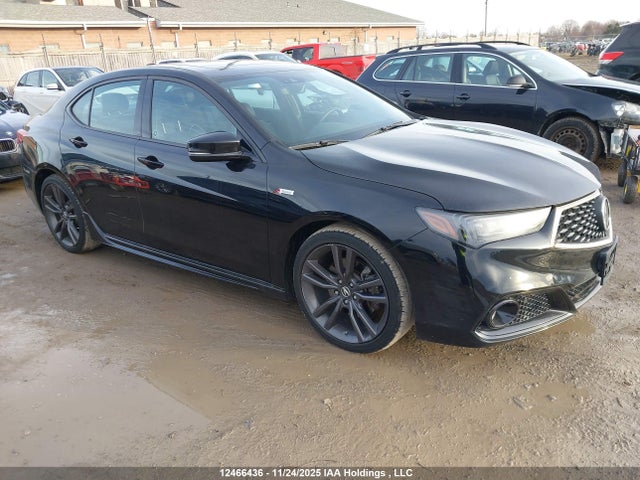 19UUB1F66KA800216 Acura k24w7
