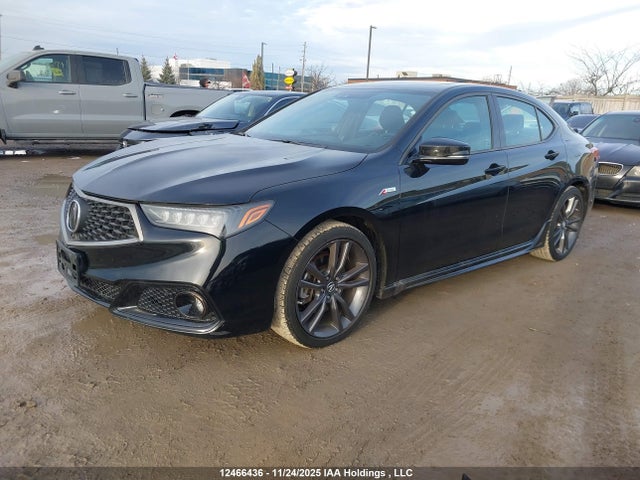 19UUB1F66KA800216 Acura k24w7