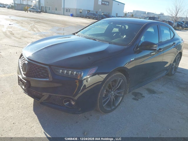 19UUB1F66KA800216 Acura k24w7