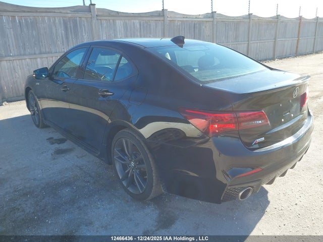 19UUB1F66KA800216 Acura k24w7