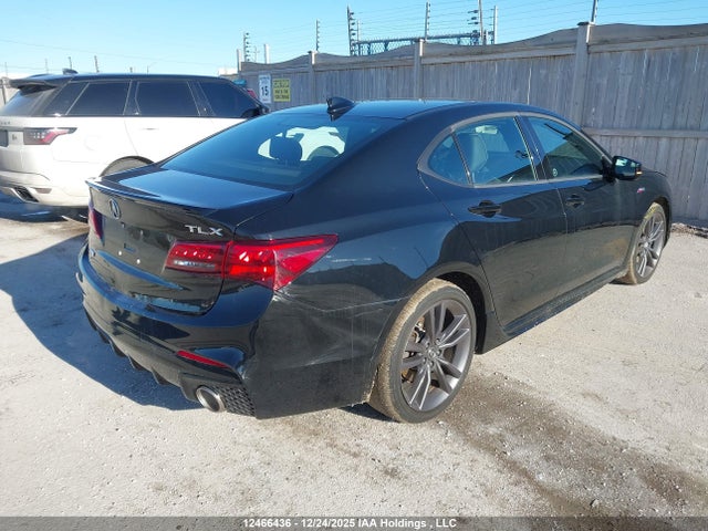 19UUB1F66KA800216 Acura k24w7