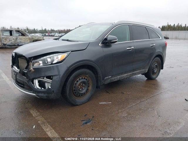 12467010 :رقم المزاد ، 5XYPHDA54HG307606 vin ، 2017 Kia Sorento 3.3l Ex/3.3l Ex+ مزاد بيع