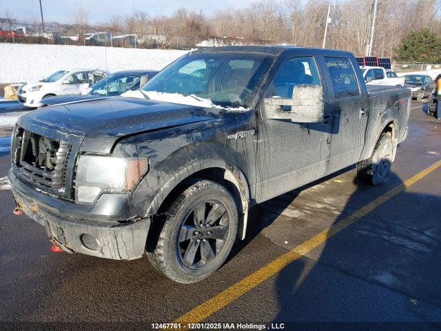 Продажа на аукционе авто 2012 Ford F-150, vin: 1FTFW1EFXCFB17534, номер лота: 12467761
