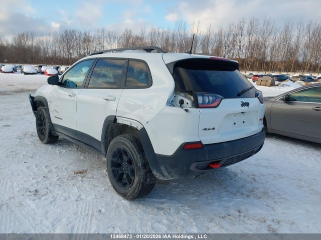 Jeep Cherokee Trailhawk 2020 1C4PJMBX2LD545935 Image 3
