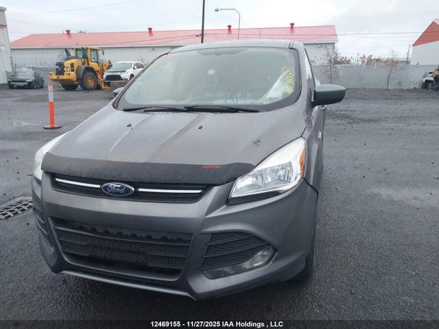2014 Ford Escape მანქანა იყიდება აუქციონზე, vin: 1FMCU0GX8EUD96565, აუქციონის ნომერი: 12469155