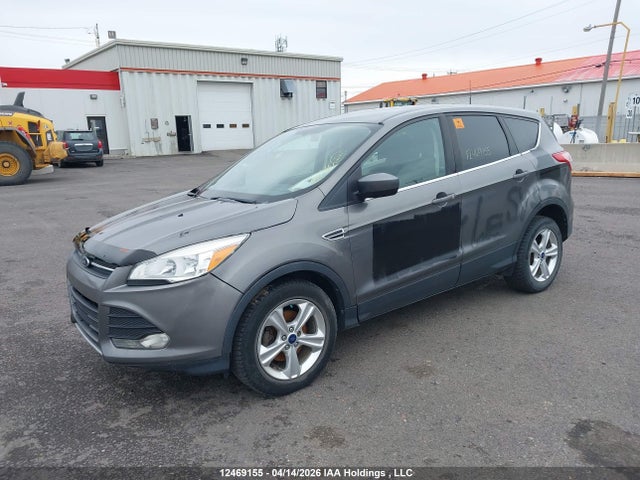 2014 Ford Escape მანქანა იყიდება აუქციონზე, vin: 1FMCU0GX8EUD96565, აუქციონის ნომერი: 12469155