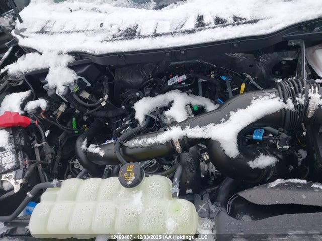 Продаж на аукціоні авто 2025 Ford F-150 Xlt, vin: 1FTEW3LP2SKF25017, номер лоту: 12469407