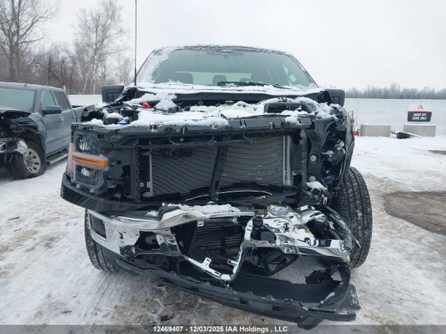 Продаж на аукціоні авто 2025 Ford F-150 Xlt, vin: 1FTEW3LP2SKF25017, номер лоту: 12469407