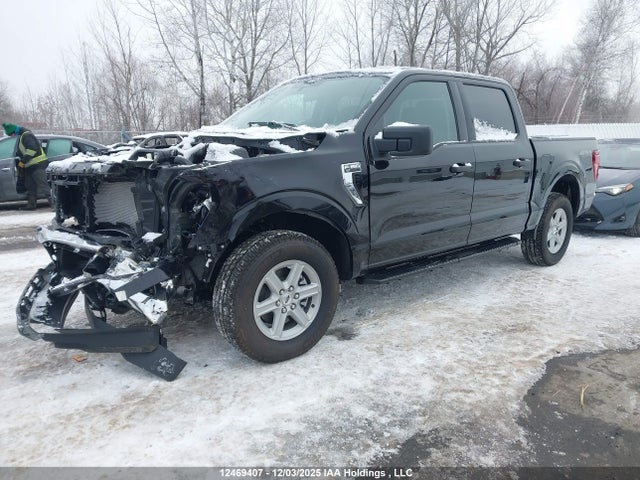 Продаж на аукціоні авто 2025 Ford F-150 Xlt, vin: 1FTEW3LP2SKF25017, номер лоту: 12469407
