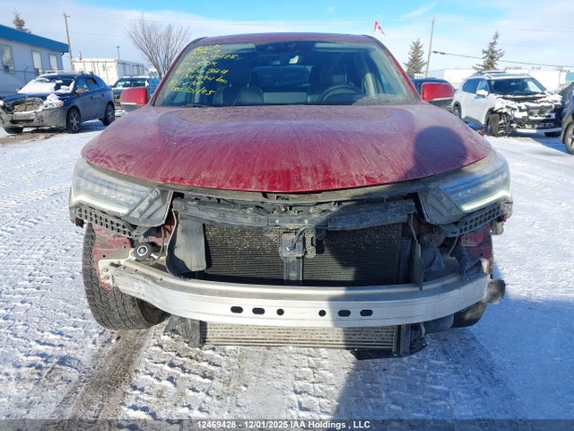 5J8TC2H9XKL806384 Acura Rdx Platinum Elite