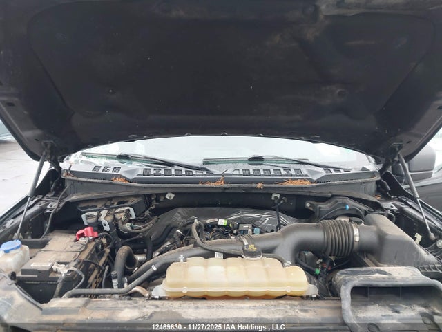 12469630 :رقم المزاد ، 1FTEW1EP0LFB92991 vin ، 2020 Ford F-150 Xlt مزاد بيع