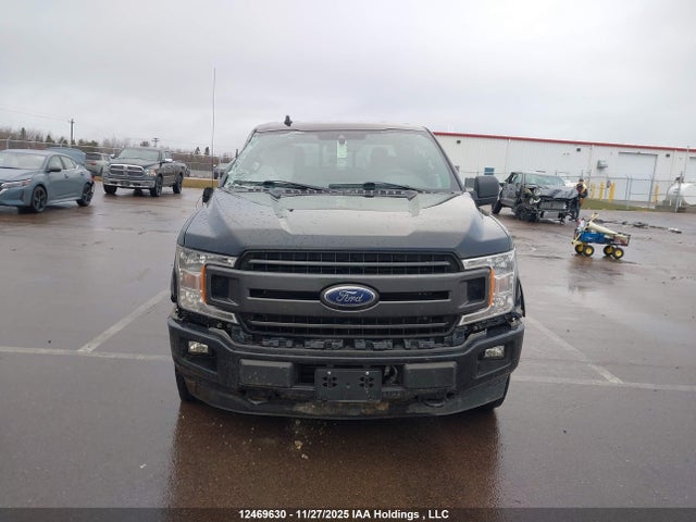 12469630 :رقم المزاد ، 1FTEW1EP0LFB92991 vin ، 2020 Ford F-150 Xlt مزاد بيع