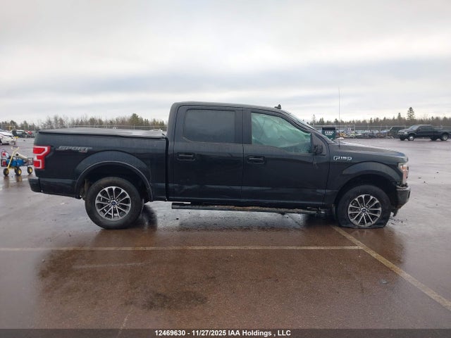 12469630 :رقم المزاد ، 1FTEW1EP0LFB92991 vin ، 2020 Ford F-150 Xlt مزاد بيع