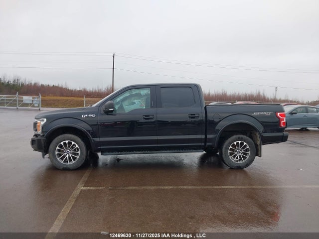 12469630 :رقم المزاد ، 1FTEW1EP0LFB92991 vin ، 2020 Ford F-150 Xlt مزاد بيع