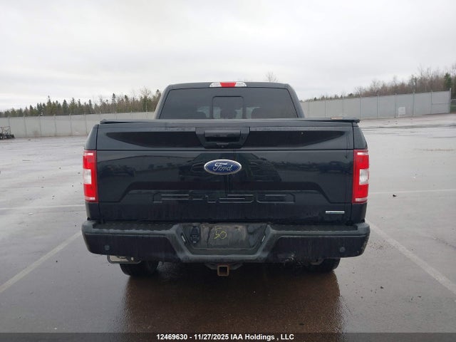 12469630 :رقم المزاد ، 1FTEW1EP0LFB92991 vin ، 2020 Ford F-150 Xlt مزاد بيع