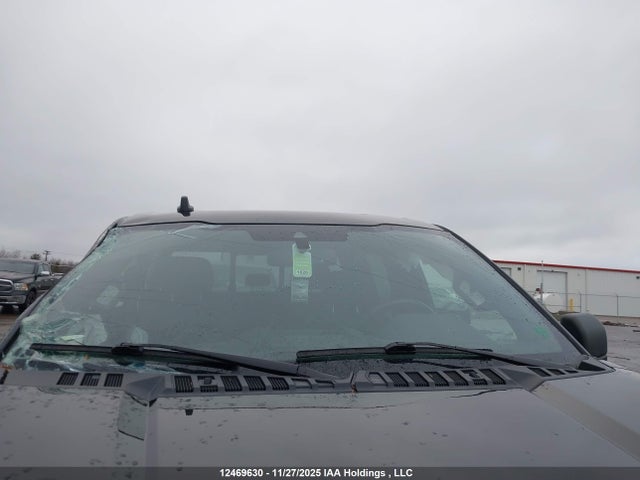 12469630 :رقم المزاد ، 1FTEW1EP0LFB92991 vin ، 2020 Ford F-150 Xlt مزاد بيع