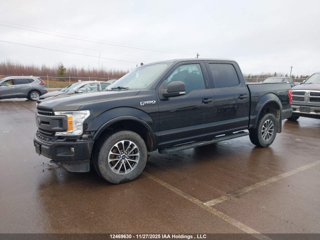 12469630 :رقم المزاد ، 1FTEW1EP0LFB92991 vin ، 2020 Ford F-150 Xlt مزاد بيع