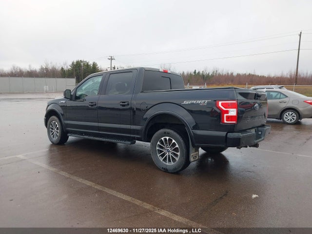 12469630 :رقم المزاد ، 1FTEW1EP0LFB92991 vin ، 2020 Ford F-150 Xlt مزاد بيع