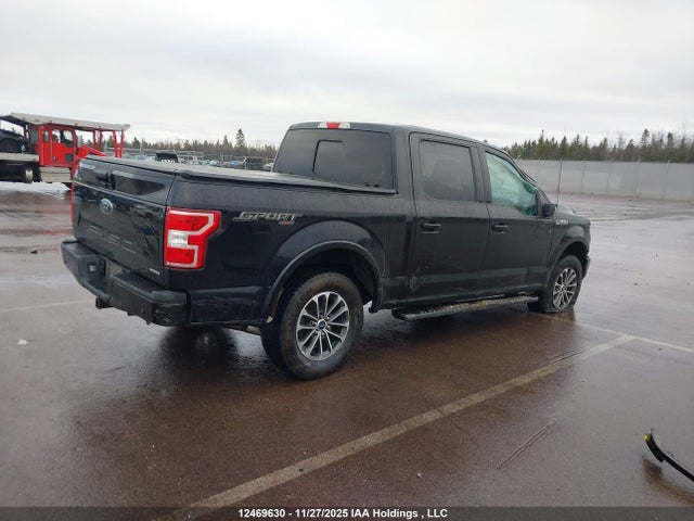 12469630 :رقم المزاد ، 1FTEW1EP0LFB92991 vin ، 2020 Ford F-150 Xlt مزاد بيع