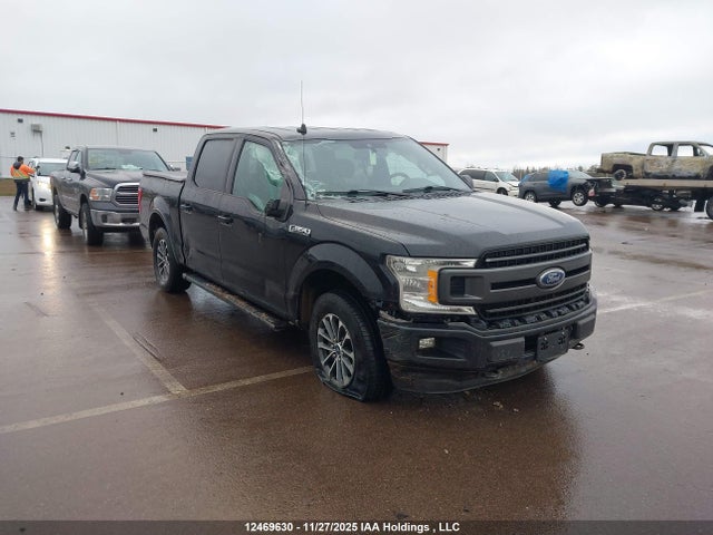 12469630 :رقم المزاد ، 1FTEW1EP0LFB92991 vin ، 2020 Ford F-150 Xlt مزاد بيع