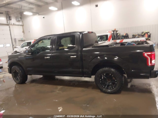 1FTEW1EP1GKF01011 Ford F-150 Xlt