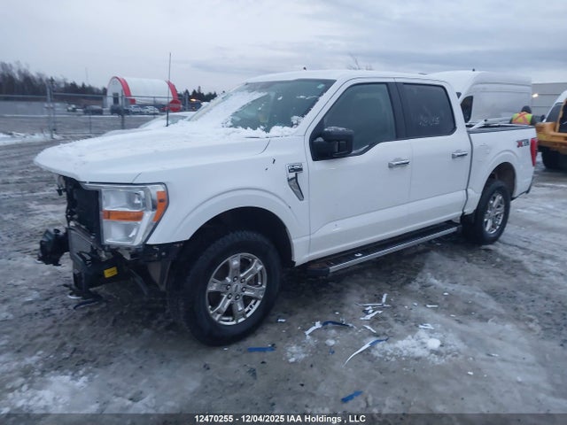 2021 Ford F150 Supercrew მანქანა იყიდება აუქციონზე, vin: 1FTEW1EP4MKE96673, აუქციონის ნომერი: 12470255