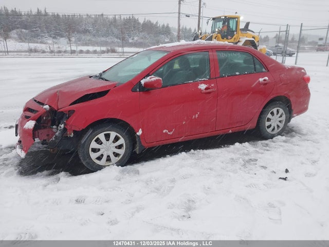 12470431 :رقم المزاد ، 2T1BU4EE9BC618256 vin ، 2011 Toyota Corolla Ce مزاد بيع