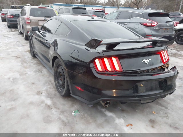 Ford Mustang 2015 1FA6P8TH8F5372922 Image 3