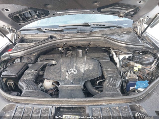 Mercedes-Benz Gl 450 4matic 2015 4JGDF6EE0FA485200 Image 10