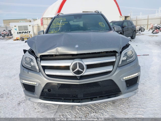 Mercedes-Benz Gl 450 4matic 2015 4JGDF6EE0FA485200 Image 12