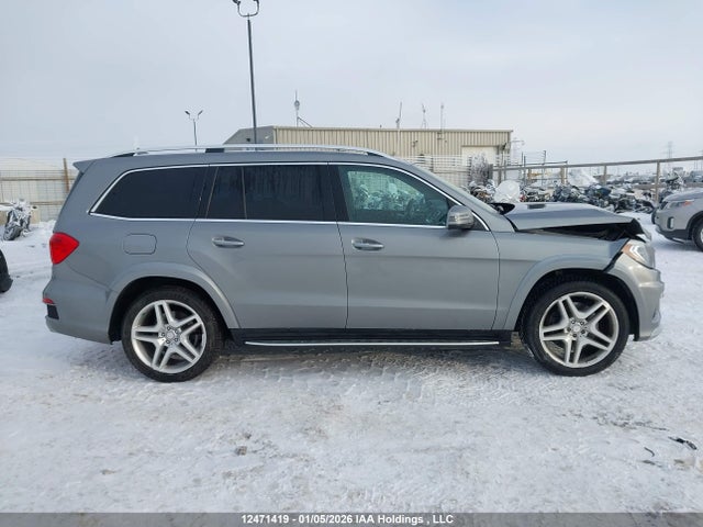 Mercedes-Benz Gl 450 4matic 2015 4JGDF6EE0FA485200 Image 13