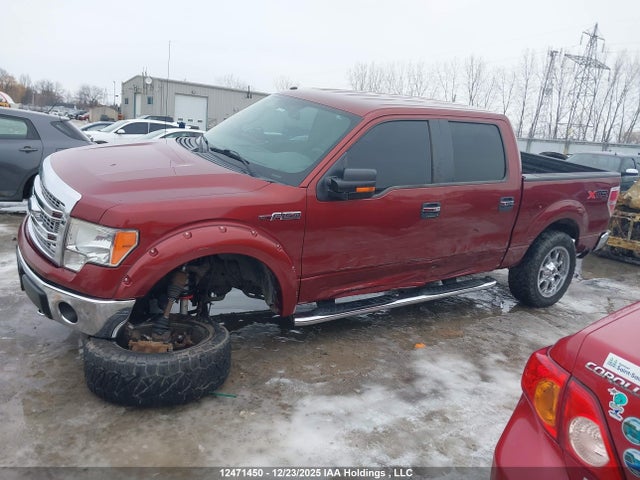 Ford F-150 Xlt 2014 1FTFW1EF0EKE74859 Image 14