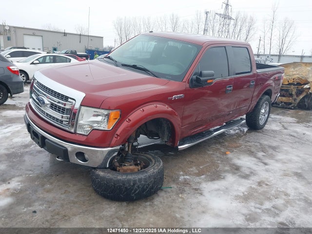 Ford F-150 Xlt 2014 1FTFW1EF0EKE74859 Image 2