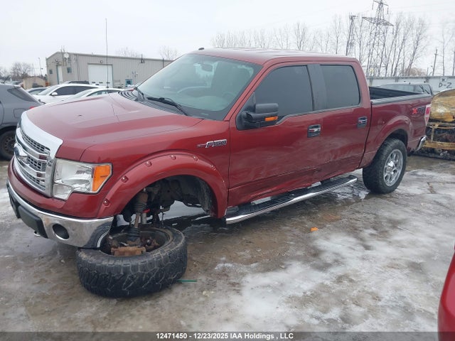 Ford F-150 Xlt 2014 1FTFW1EF0EKE74859 Image 6