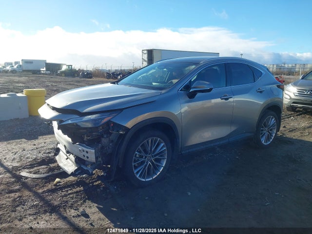 Lexus Nx 350h 350h 2025 2T2GKCEZ5SC052018 Image 2