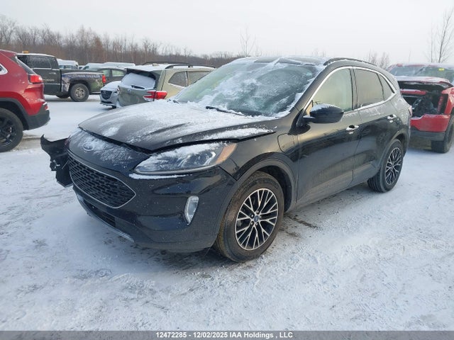 1FMCU0KZ5MUA82928 Ford Escape Hybrid