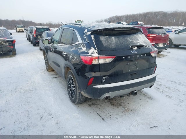 1FMCU0KZ5MUA82928 Ford Escape Hybrid