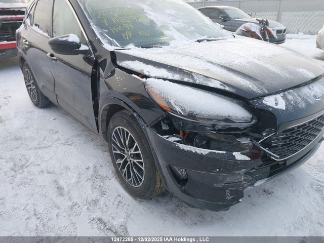 1FMCU0KZ5MUA82928 Ford Escape Hybrid