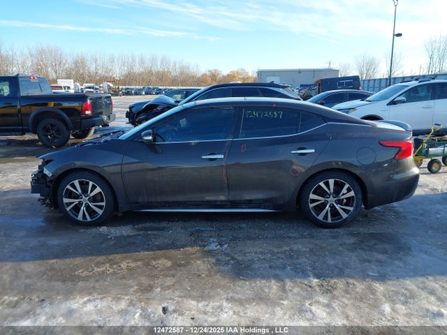 1N4AA6AP8HC379703 Nissan Maxima Platinum/s/sl/sr/sv