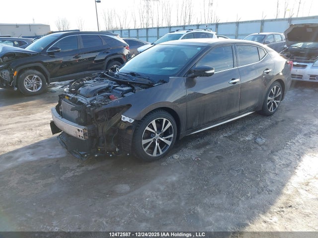 1N4AA6AP8HC379703 Nissan Maxima Platinum/s/sl/sr/sv