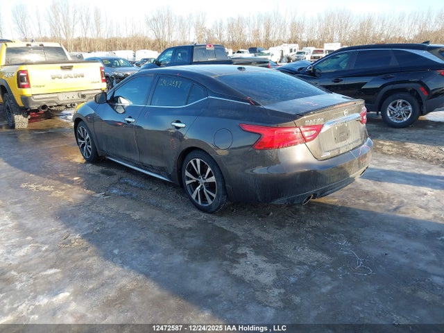 1N4AA6AP8HC379703 Nissan Maxima Platinum/s/sl/sr/sv