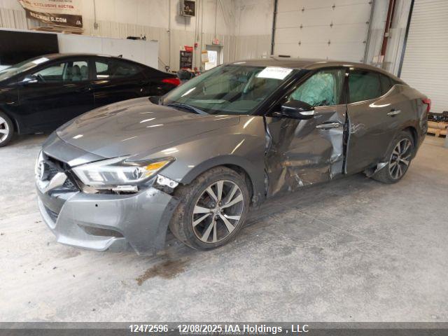 Nissan Maxima 2017 1N4AA6AP6HC363743 Image 3