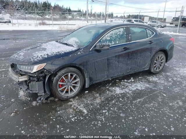19UUB1F3XJA800627 Acura TLX