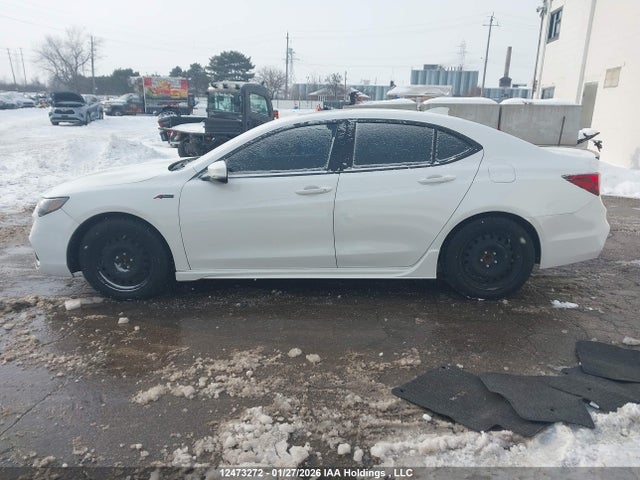 19UUB1F63KA800769 Acura Tlx Tech A-spec
