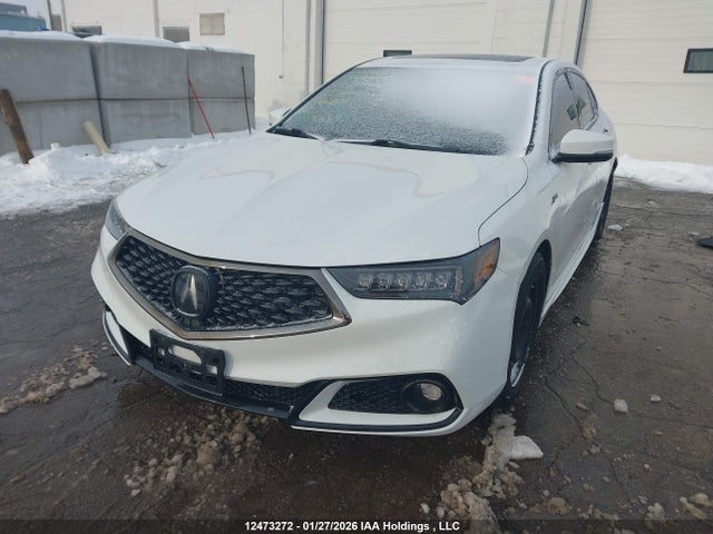 19UUB1F63KA800769 Acura Tlx Tech A-spec